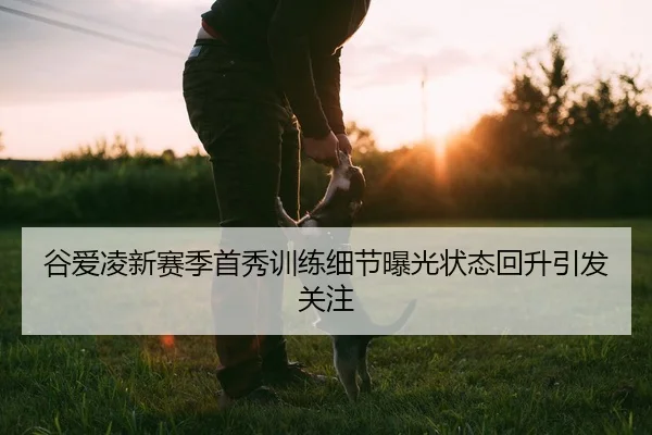 谷爱凌新赛季首秀训练细节曝光状态回升引发关注